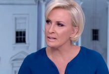 Www.wisdomtalk.org Where Is Mika Brzezinski Now 2024